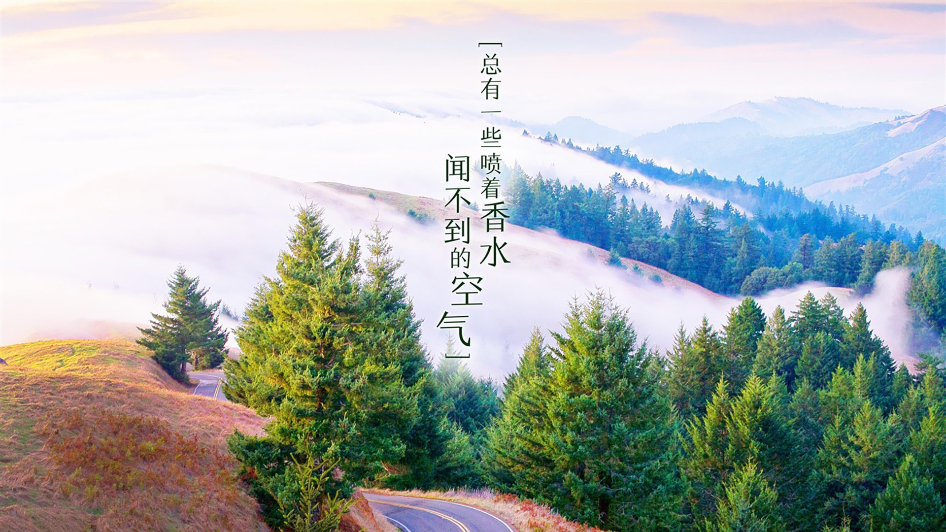 奥斯汀马刺新星表现突出，奥斯丁马刺比赛