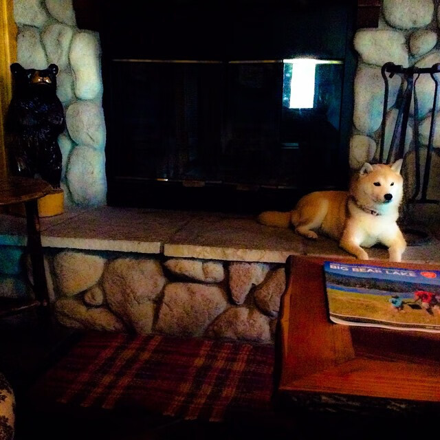 新闻中心新员工培训顺利结业，新员工入职培训结业典礼简报