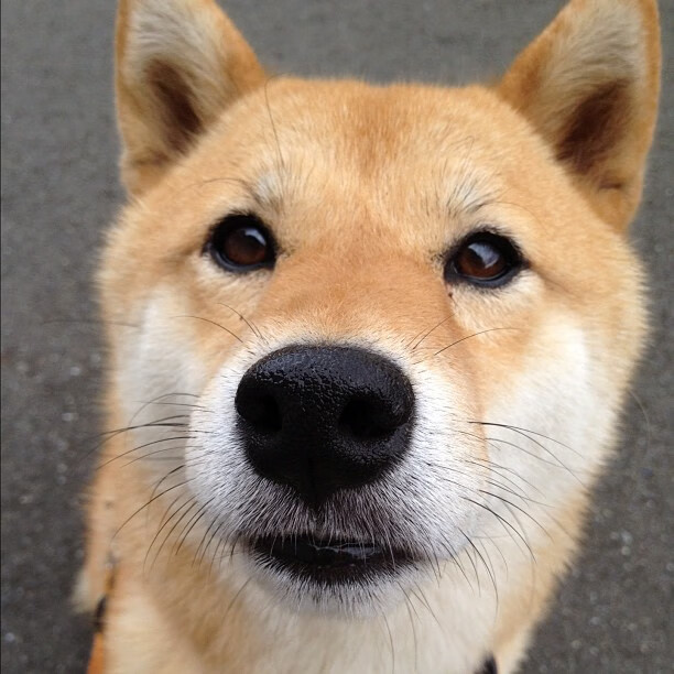 青少年体育运动安全保障机制构建,青少年体育管理体制