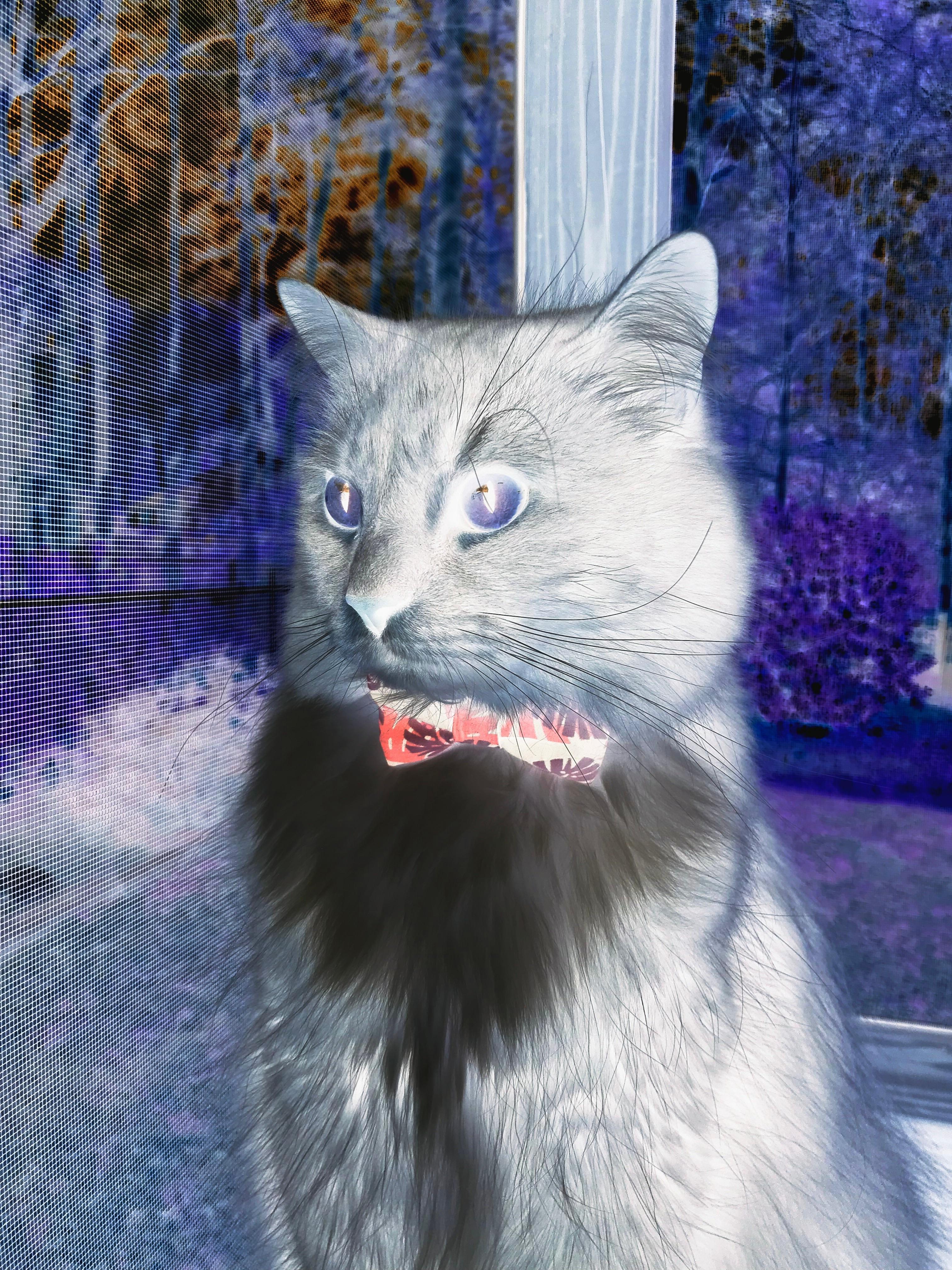 CBA联盟启动篮球教学合作计划连接校园资源，cba训练篮球