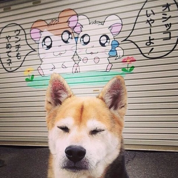 三人短传小组打出连续突破，三人短传小组打出连续突破的球员