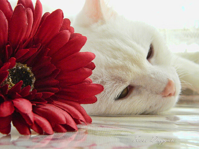 九游下载官网-世界杯预选赛中国队战平 球迷希望下场反弹，世界杯预选赛中国队打平