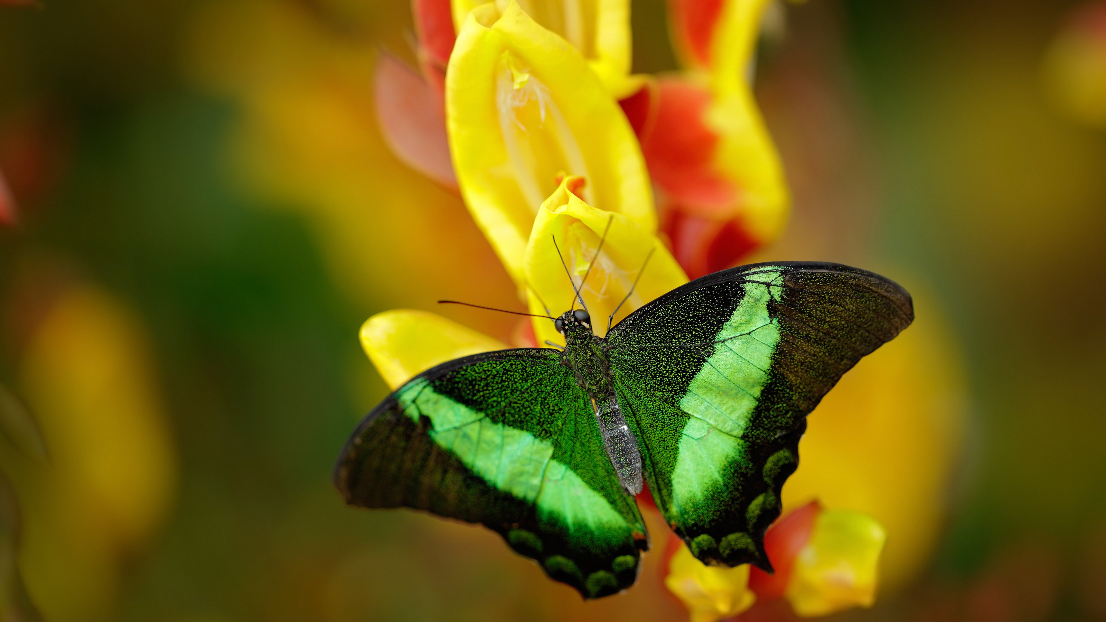 五大联赛边锋助攻方式是否已从传统传中转向内切直塞，五大联赛最好的边锋