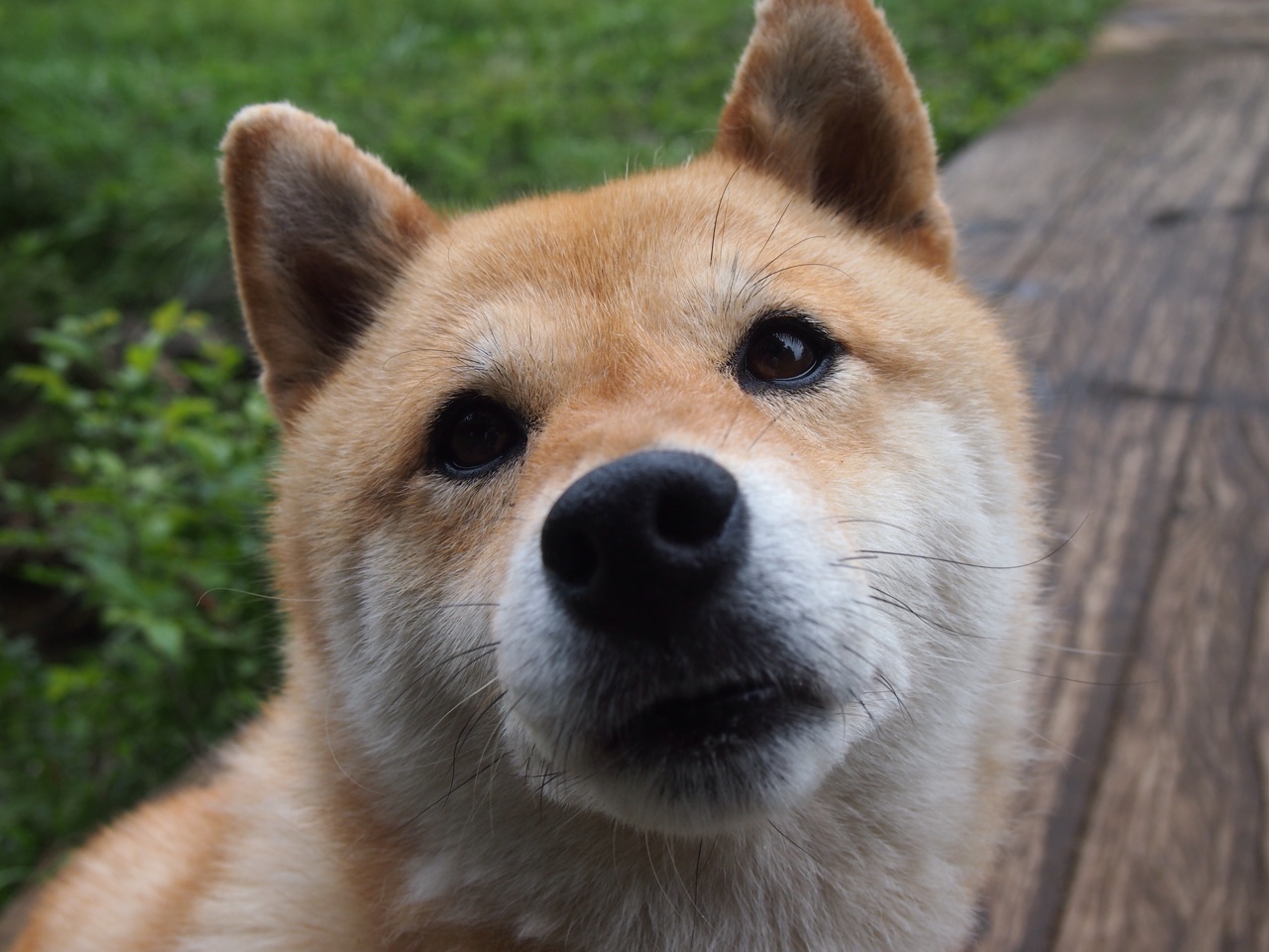 体育特色高中示范校名单公布,体育特色学校