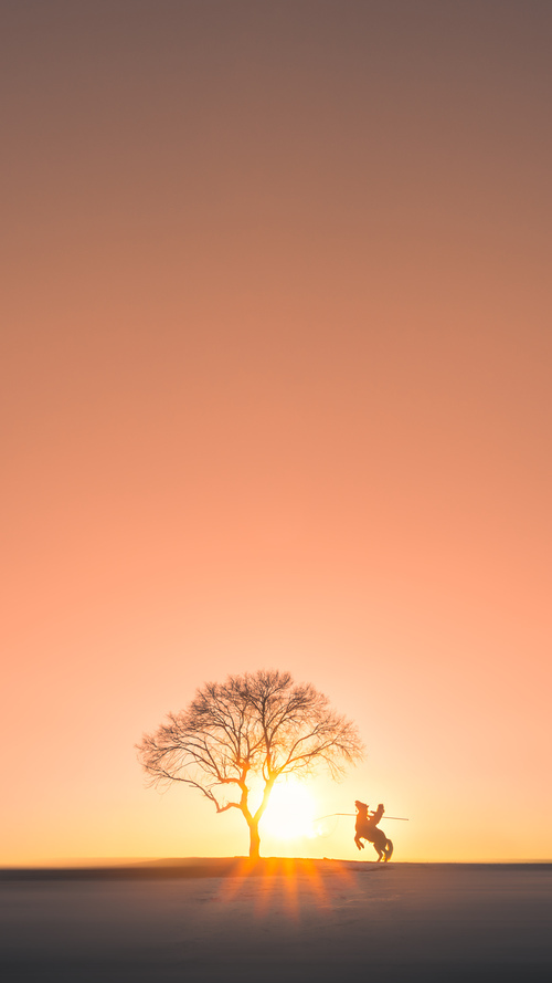 冬奥集训全力备战迎接严峻挑战，冬奥会训练赛