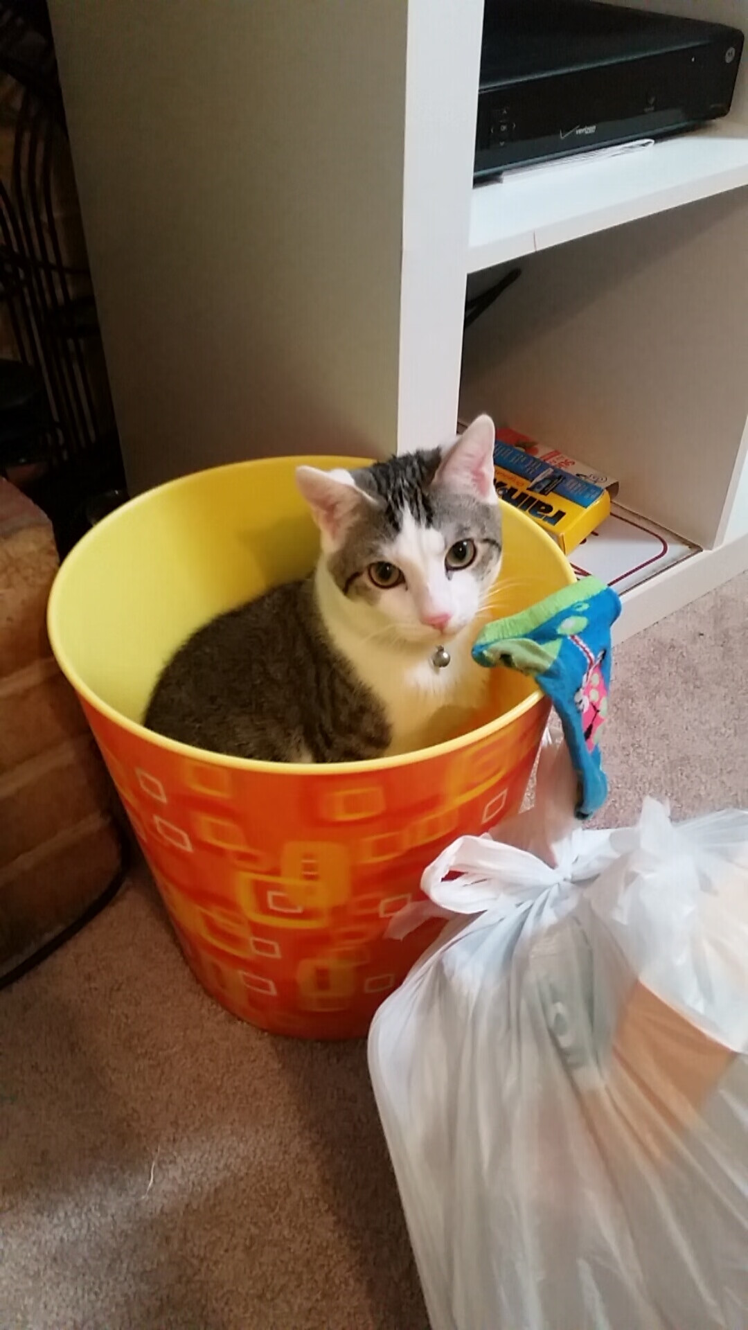 Jiuyou-边中转换速度成为破局关键，边中是什么意思