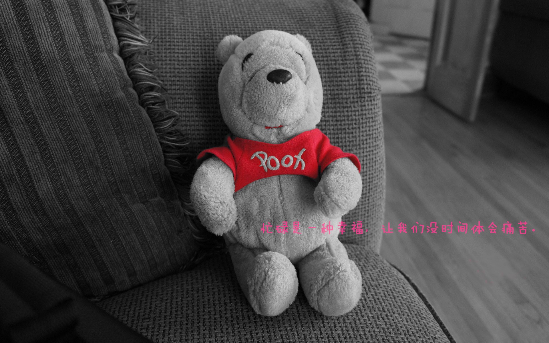 库里短片入围国际体育纪录片奖项，nba球星库里纪录片大全