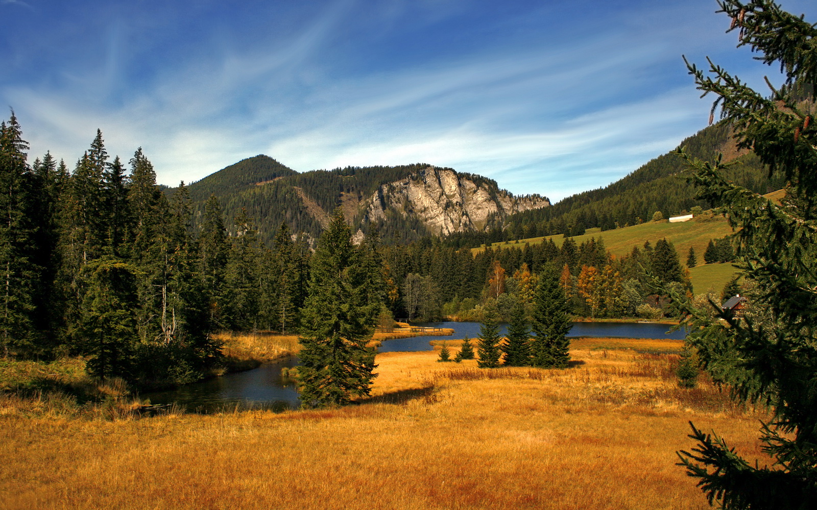 热火主场音响系统全面升级营造比赛氛围，热火新主场