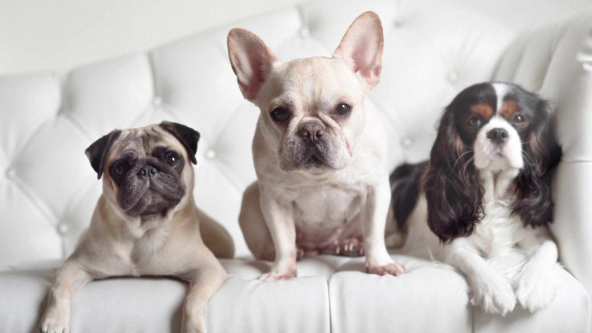 骑士新秀谈首次出场称全靠团队支持，骑士新秀2020